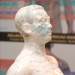 Zhi Zhen Tang TCM & Acupuncture