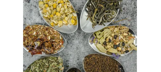 Zhi Zhen Tang TCM & Acupuncture