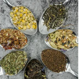 Zhi Zhen Tang TCM & Acupuncture